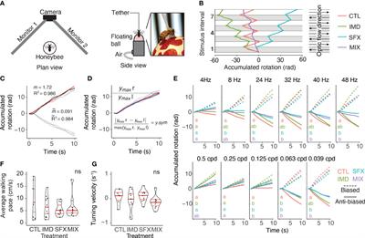 Chronic exposure to insecticides impairs honeybee optomotor behaviour